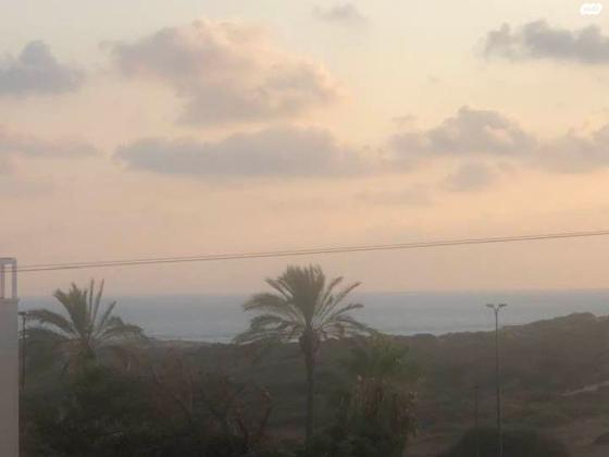 אירוס הארגמן 18 (גבעת האירוסים)