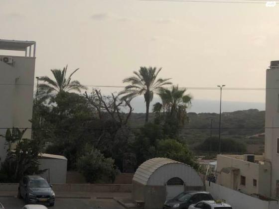 אירוס הארגמן 18 (גבעת האירוסים)