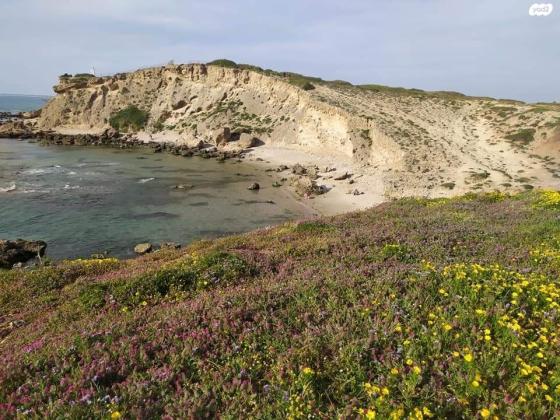 ערוגות הבושם 6 (עין הים)