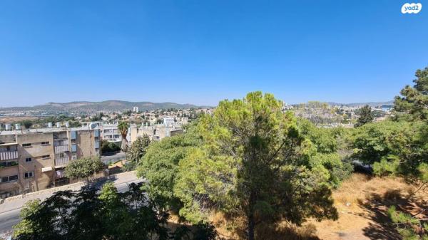 בן אליעזר 8 (קרית אריה שיינפלד, נווה ספיר)