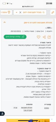 למכירה חתול בריטי שמנמן וחברותי