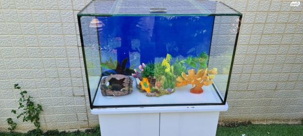 אקוריום בגודל 60 סמ רק