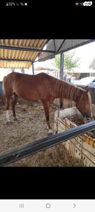 למכירה עקב יציאה מהתחום