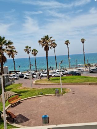 ז'בוטינסקי 2 (מערב)