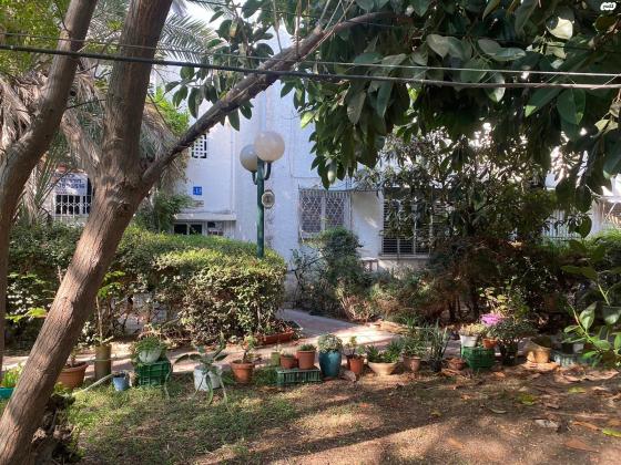 אשרמן 13 (רמת הטייסים)