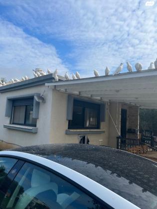 להקה יונים דואר לבנים