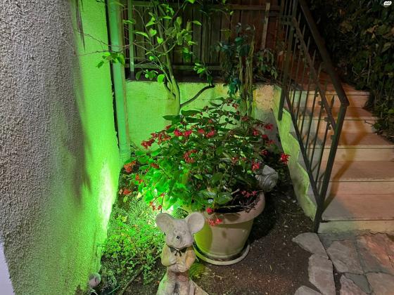 בורוכוב 27 (קרית היובל)