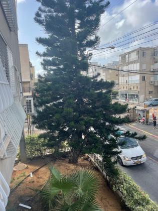 התומר 2 (רסקו א)