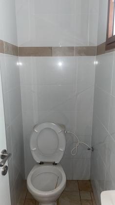 חותמי המגילה 6 (אביב)