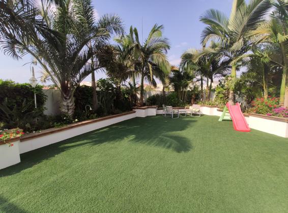 רינה אלול 7 (בר לב)