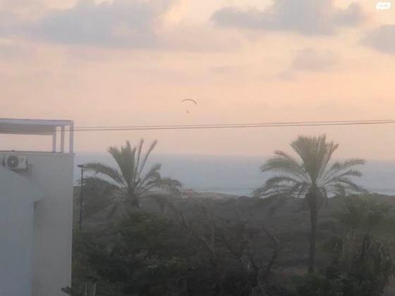 אירוס הארגמן 18 (גבעת האירוסים)