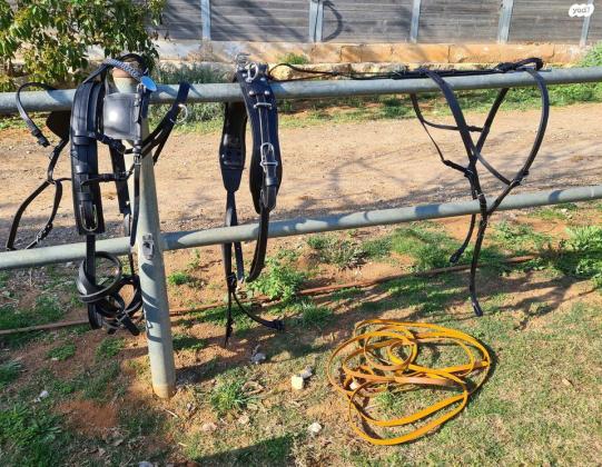 רתמת עור, סט שלם, חדש