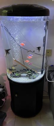 למכירה אקווריום חצי עגול שחור