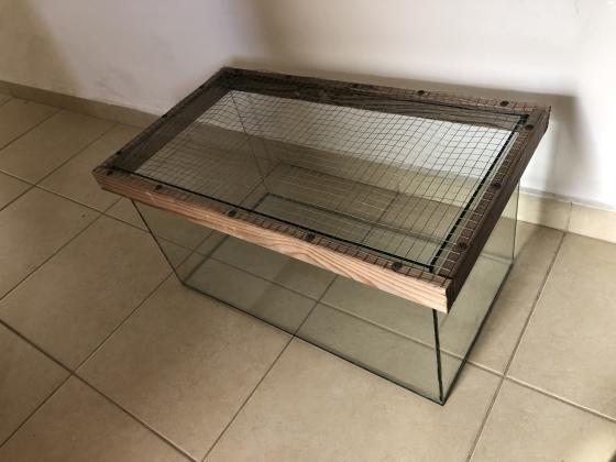 טרריום זכוכית חדש ויפה