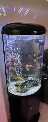 למכירה אקווריום חצי עגול שחור