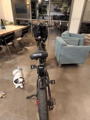 אופניים פאט בייק boxer grand