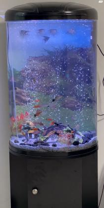 למכירה אקווריום חצי עגול שחור