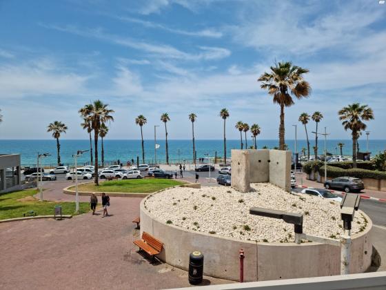 ז'בוטינסקי 2 (מערב)