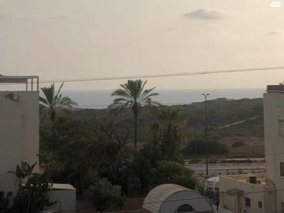 אירוס הארגמן 18 (גבעת האירוסים)