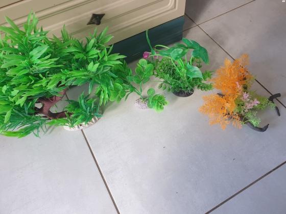 דקורציות מפלסטיק לאקווריום 80 שח