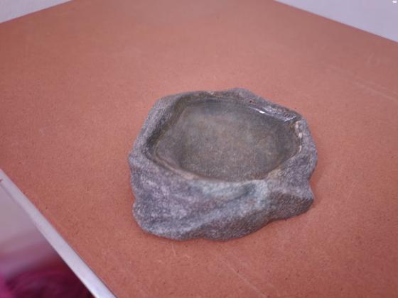 גזע עץ ענק 120