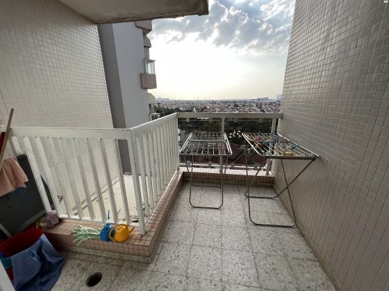 הדוגית 24 (נווה ים)