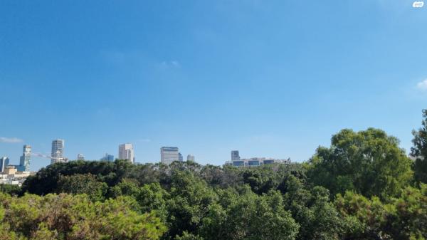 טשרניחובסקי 24 (לב תל אביב החלק הצפוני)