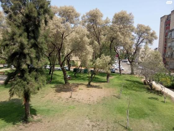 אהרון צייטלין 13 (קרית חיים מזרחית)