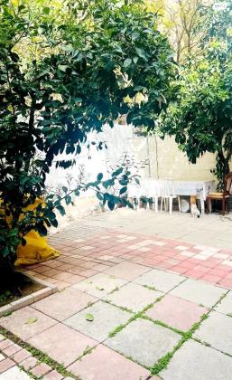 אלכסנדר ינאי 8 (שכונה ד)