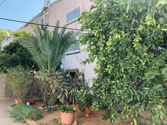 משה שרת 39 (רמתיים)