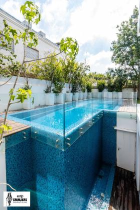 שלמה המלך (הרצליה פיתוח)