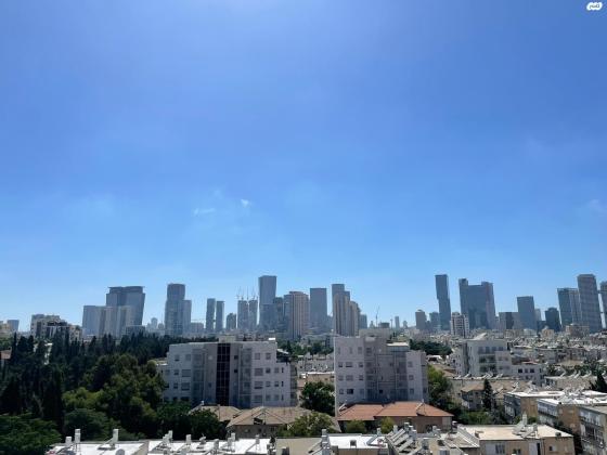 ברדיצ'בסקי 1 (שיינקין)