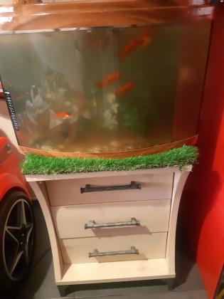 למכירה אקווריום כולל דגים וכולל השידה