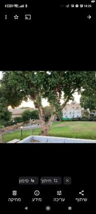 מלכי צדק 3 (רמת שקמה)