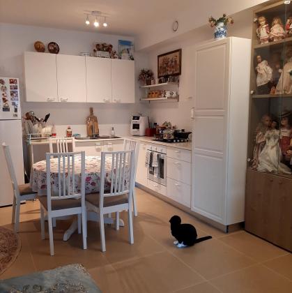 אלישע הנביא 26 (הנביאים (השמשוני צפון))