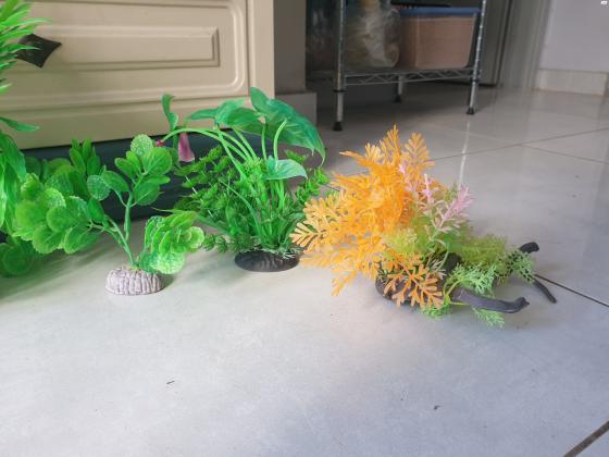 דקורציות מפלסטיק לאקווריום 80 שח