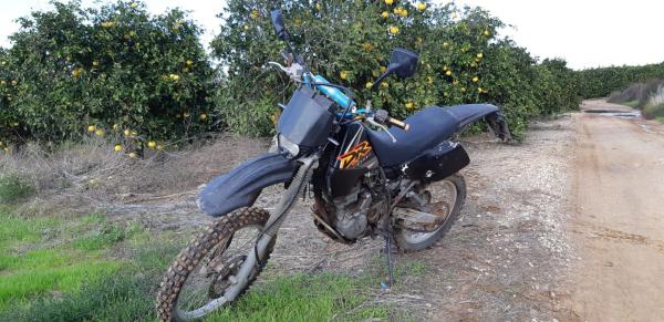 סוזוקי DR350 (1999)