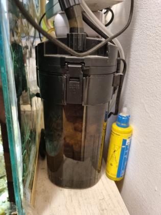 אקווריום פנורמי, 40*25 מחיר 250