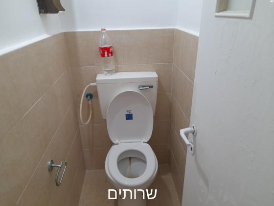אברהם ארסט 1 (פת)