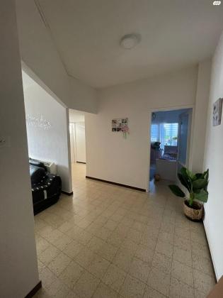 האחים טרבס 13 (ביל"ו)