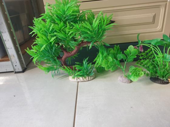 דקורציות מפלסטיק לאקווריום 80 שח