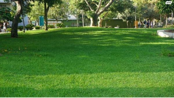 גולומב (קרית אונו הותיקה)