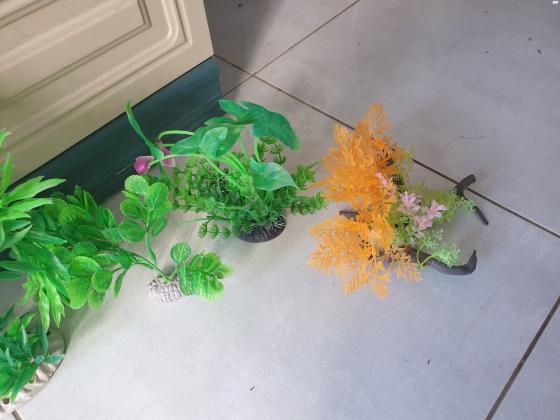 דקורציות מפלסטיק לאקווריום 80 שח