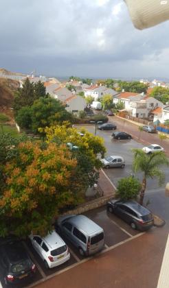 סמדר 21 (מצפה אפק)