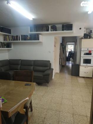 עץ הדר 101 (שמואל הנביא)