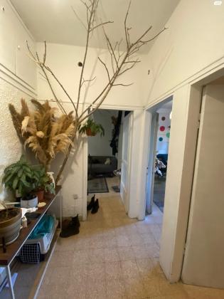 ארלוזורוב 196 (הצפון החדש החלק הדרומי)