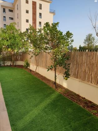 שושנה דמארי 8