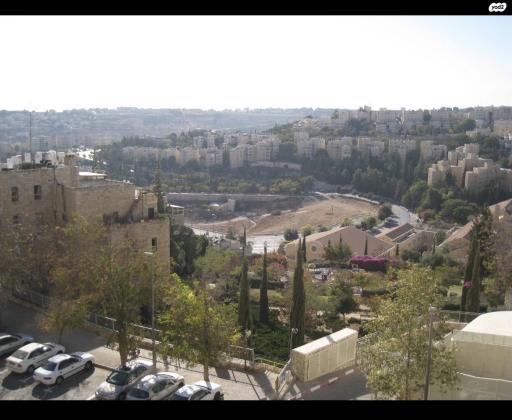 דב גרונר 271 (תלפיות מזרח)