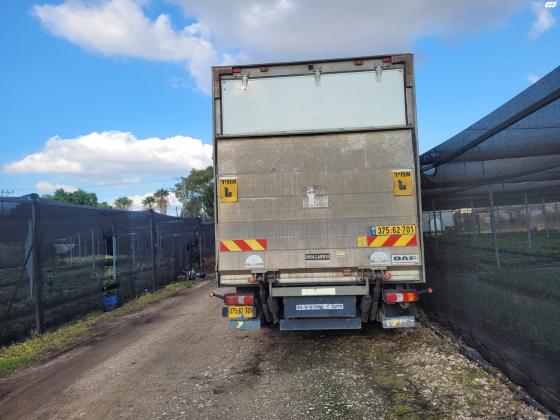 מרצדס אטגו (2018)