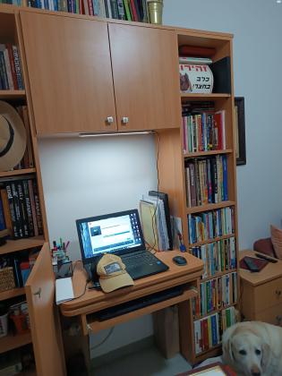 ארון ספריה צבע בוק יער